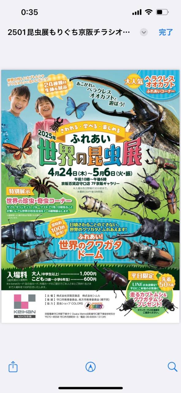 キャンドル作り